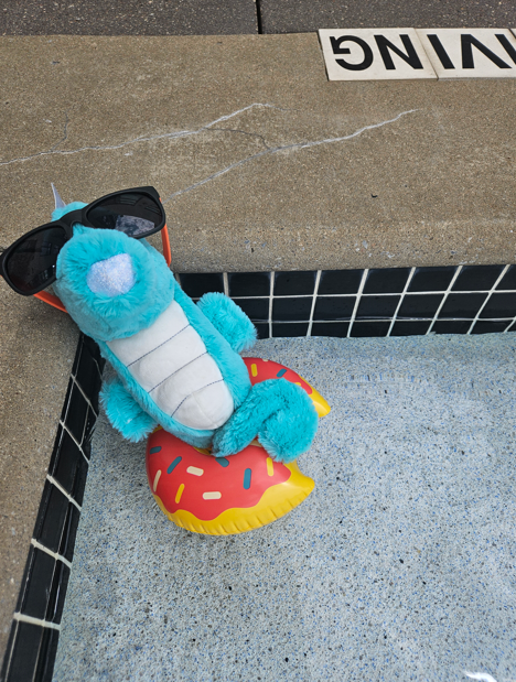 kimpton-seahorse-risen.png
